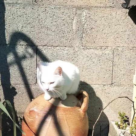 Thalassotherapie Chatelaillon Yves