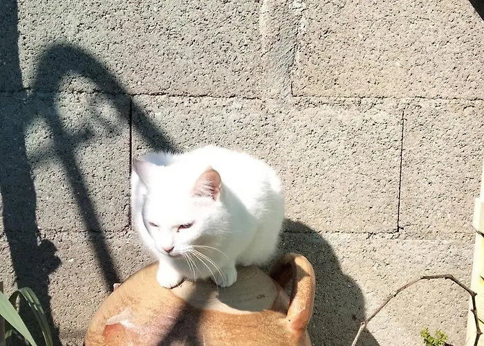 Thalassotherapie Chatelaillon Yves